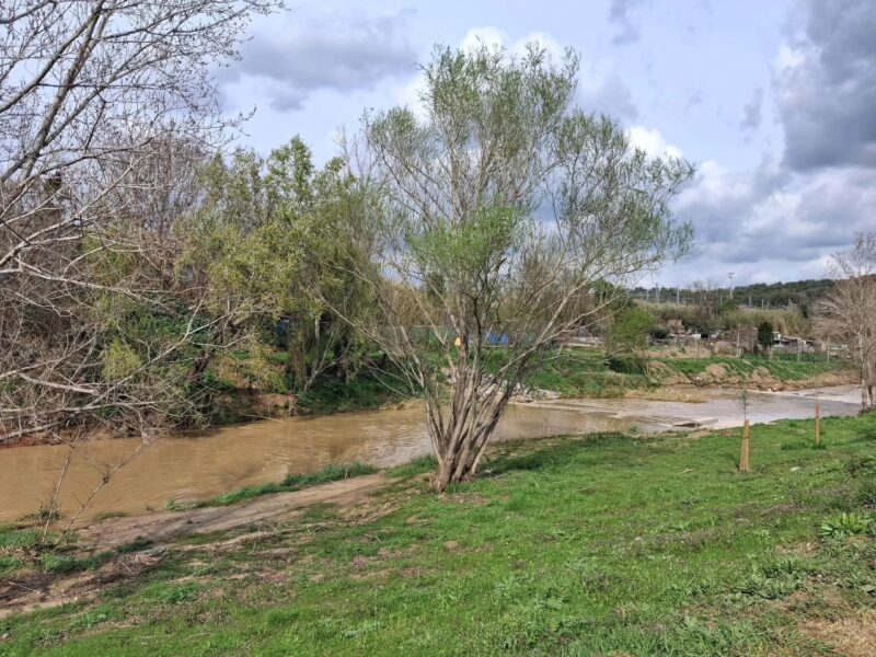 La Bustia actuacions riu Anoia Martorell 10