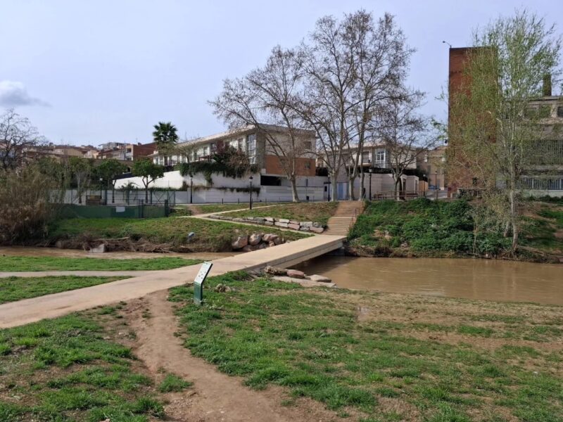 La Bustia actuacions riu Anoia Martorell 5