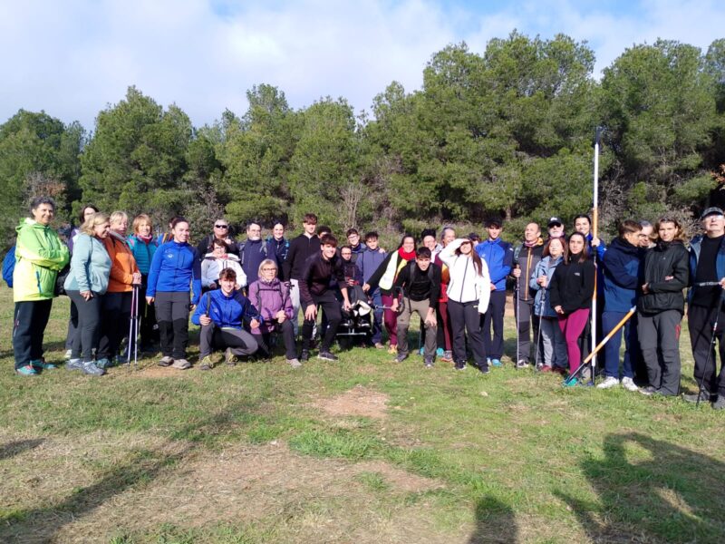 La Bustia cadira Joelette 5