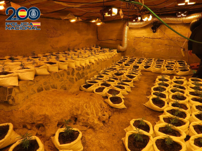 La Bustia plantacio marihuana Gelida 1