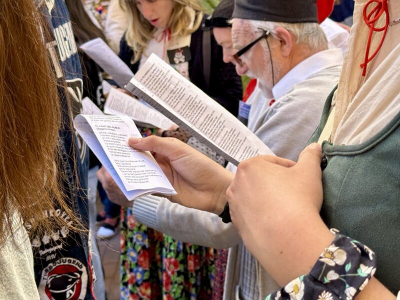 La Bustia Caramelles Aulesa 2026 13