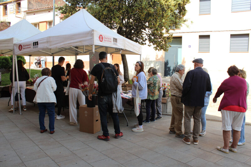 La Bustia Sant Jordi 2026 Castellvi 5