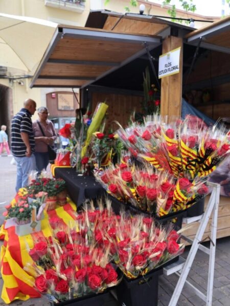 La Bustia Sant Jordi 2026 Martorell 2