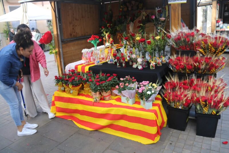 La Bustia Sant Jordi 2026 Martorell 5