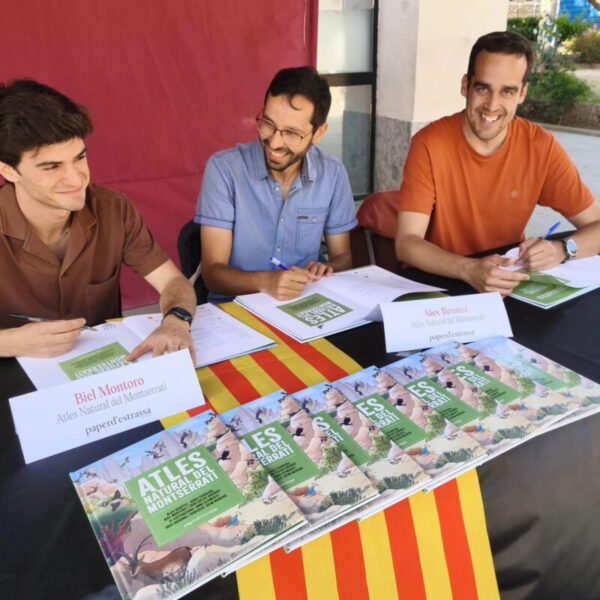 La Bustia Sant Jordi 2026 Olesa 3