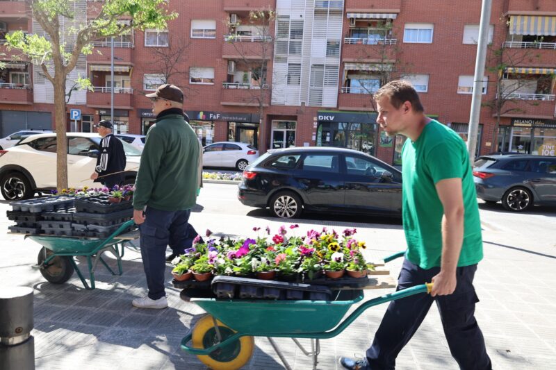 La Bustia campanya flor Martorell 2
