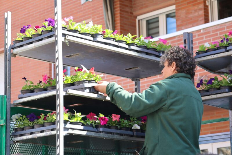 La Bustia campanya flor Martorell 5