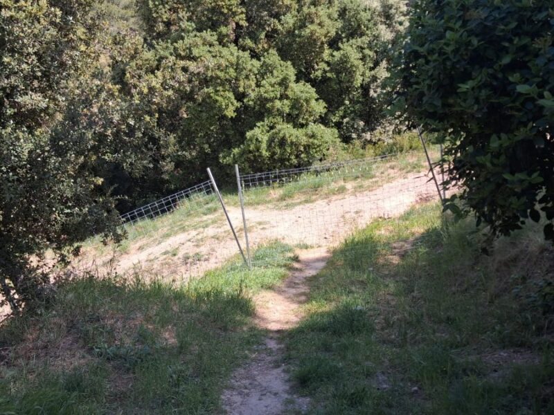 La Bustia tanques porcs senglars Abrera 2