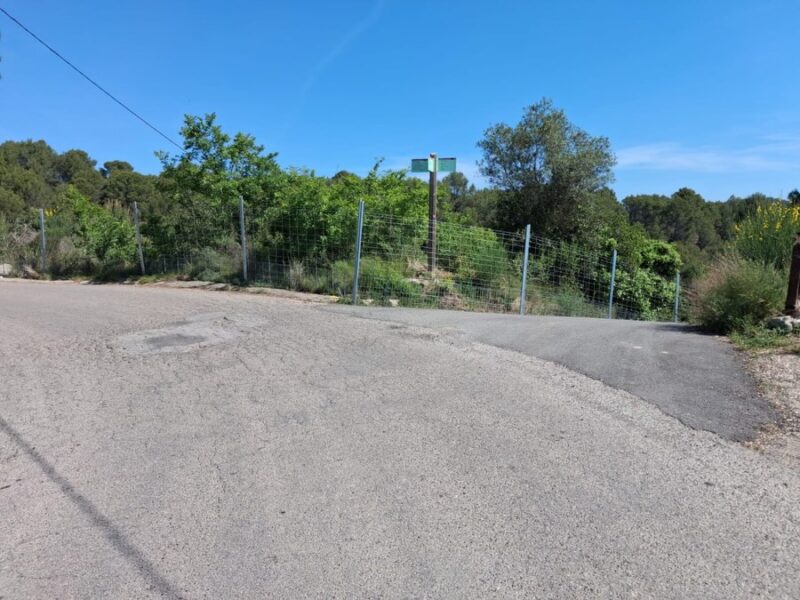 La Bustia tanques porcs senglars Abrera 5