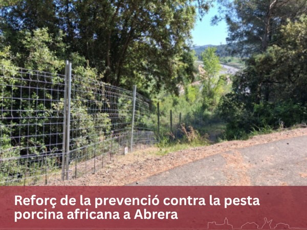La Bustia tanques porcs senglars Abrera 8