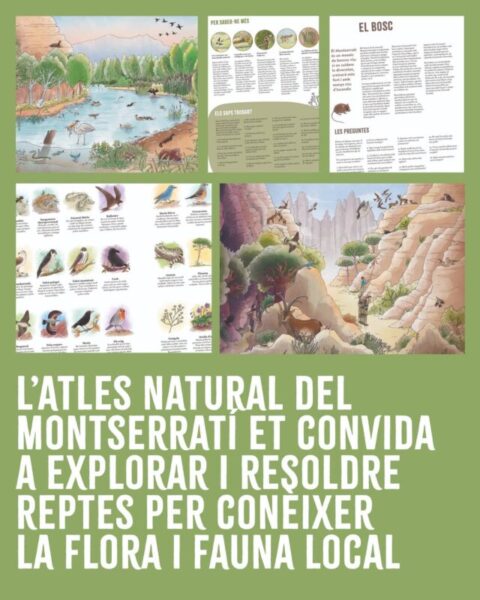 La Butia llibre Atles del Montserrati 6
