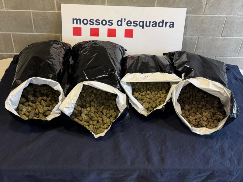 La Bustia marihuana maig Martorell 1