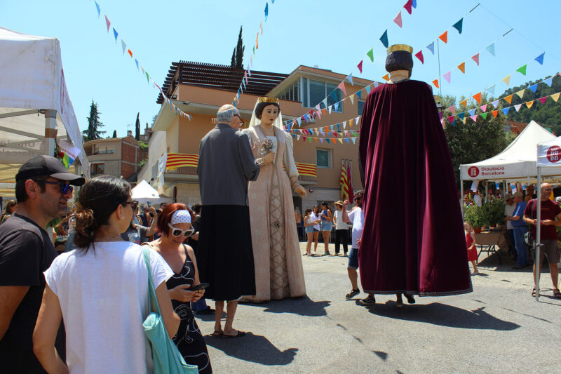 La Bustia Festa Major Castellvi 4