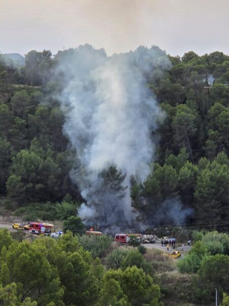 La Bustia incendi Sant Andreu 22 juny 2026