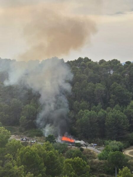 La Bustia incendi Sant Andreu 22 juny 2026