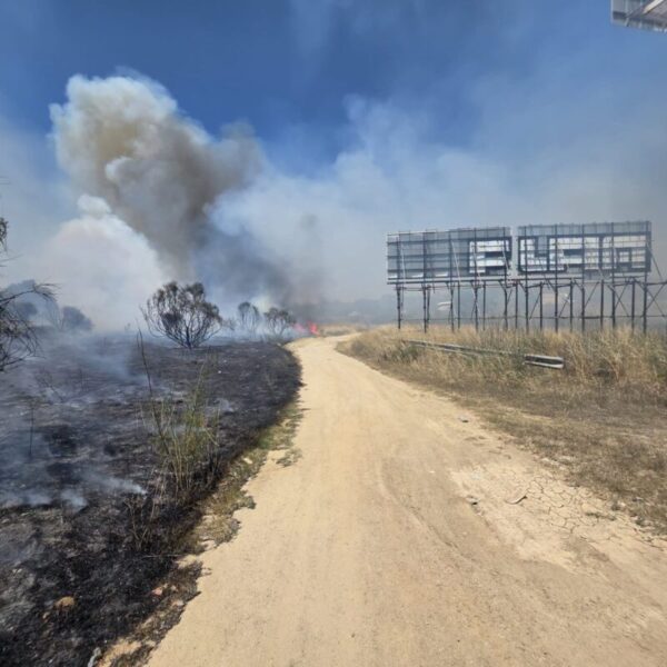 La Bustia incendi Sant Andreu 23 juny 1