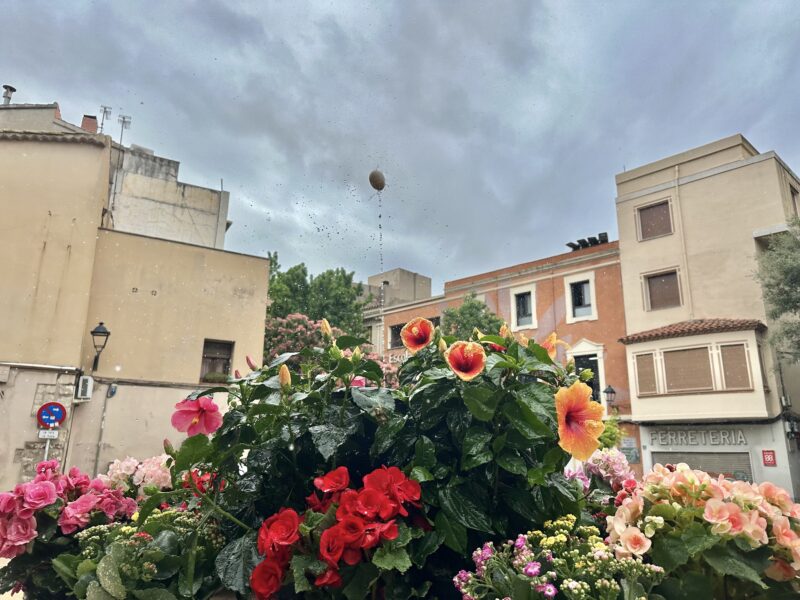 La Bustia ou com balla Olesa 1