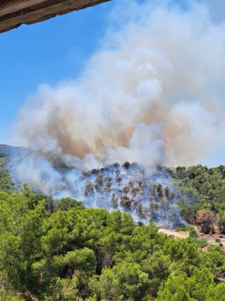 La Bustia incendi Sant Andreu 5 juliol 2026