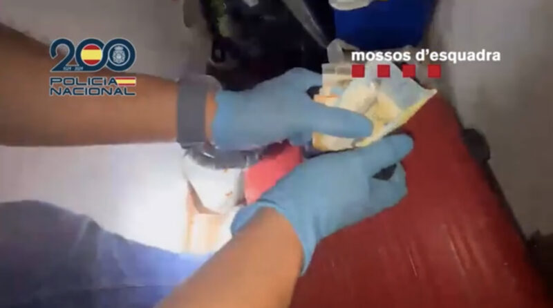 La Bustia operatiu Policia Nacional i Mossos 7 detinguts per assalts un a Olesa