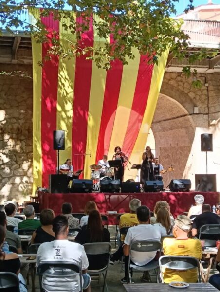 La Bustia Diada Gelida 5