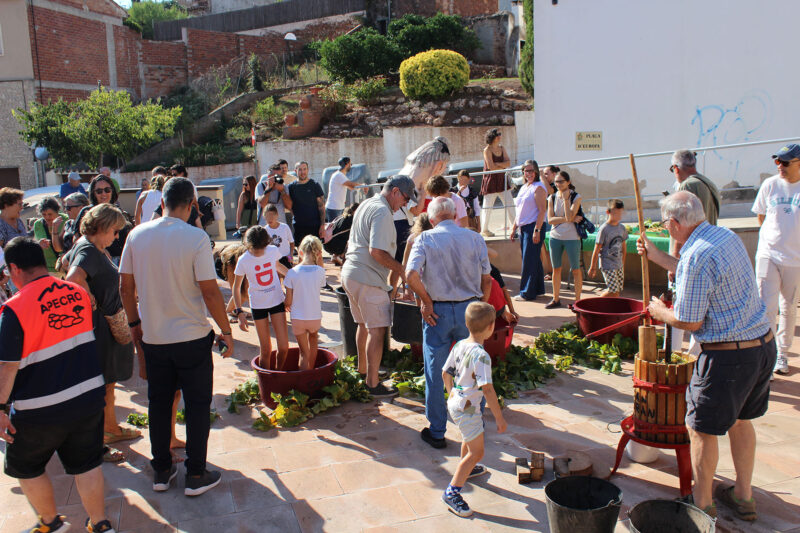 La Bustia Festa Sant Miquel Castellvi 10
