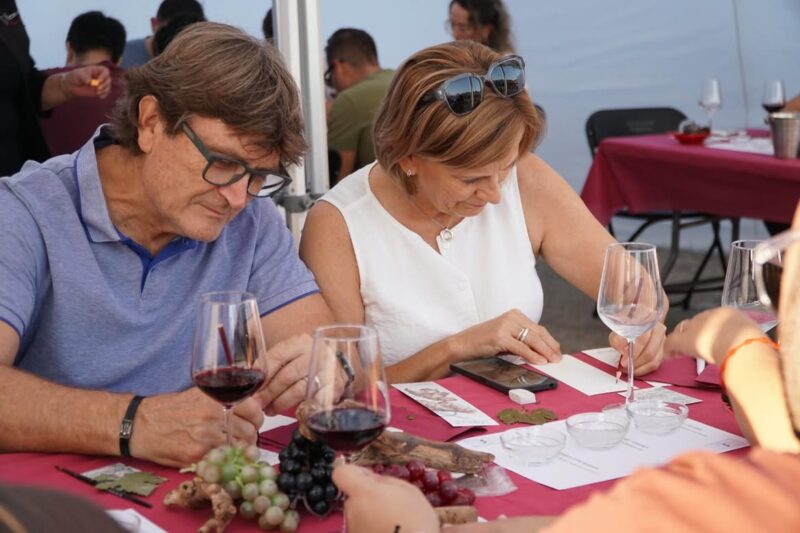 La Bustia Fira Porrons Abrera dissabte 26 setembre 4