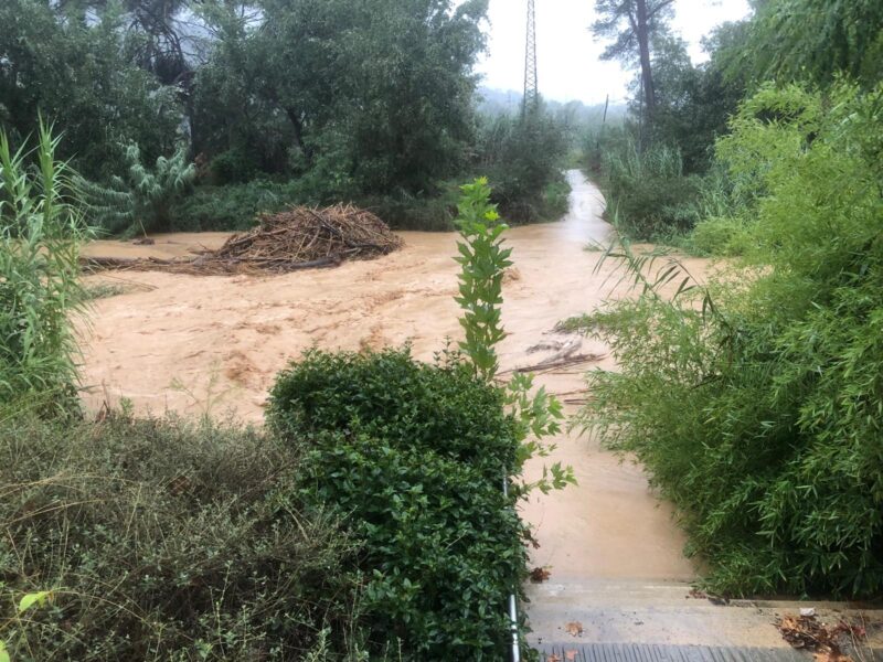La Bustia crescuda riu Anoia 29 setembre 2026 Martorell