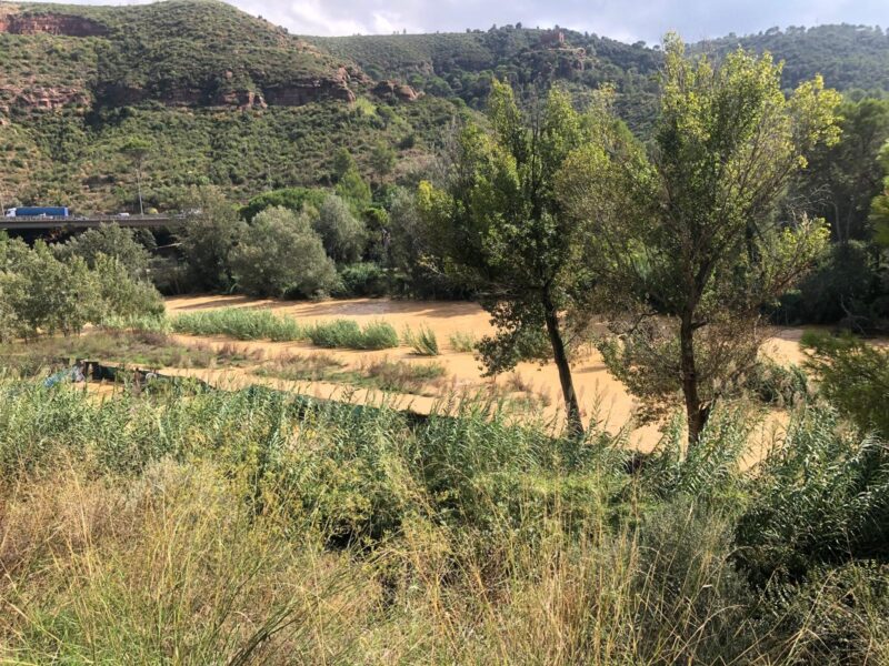 La Bustia crescuda riu Anoia 29 setembre 2026 Martorell