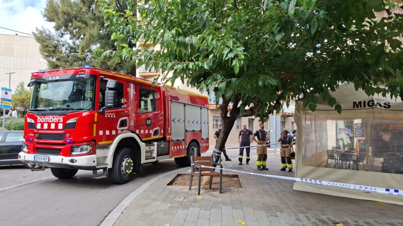 La Bustia arbre caigut Sant Andreu 2
