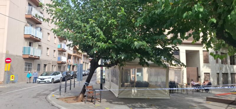 La Bustia arbre caigut Sant Andreu 4