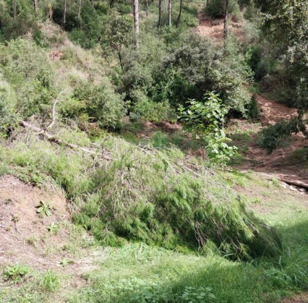 La Bustia despefectes aiguats 17 octubre 2026 Parc Canals i Nubiola i cami del Motor Sant Esteve