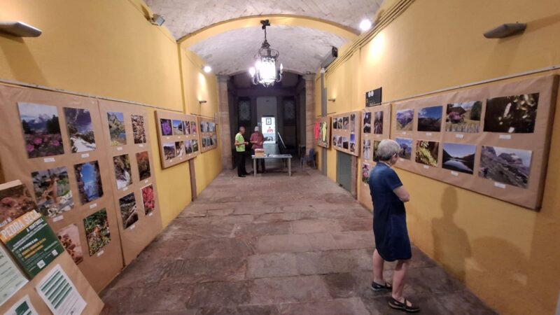 La Bustia exposicio fotografies AEM
