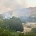 La Bustia incendi Sant Esteve 8 juliol 1